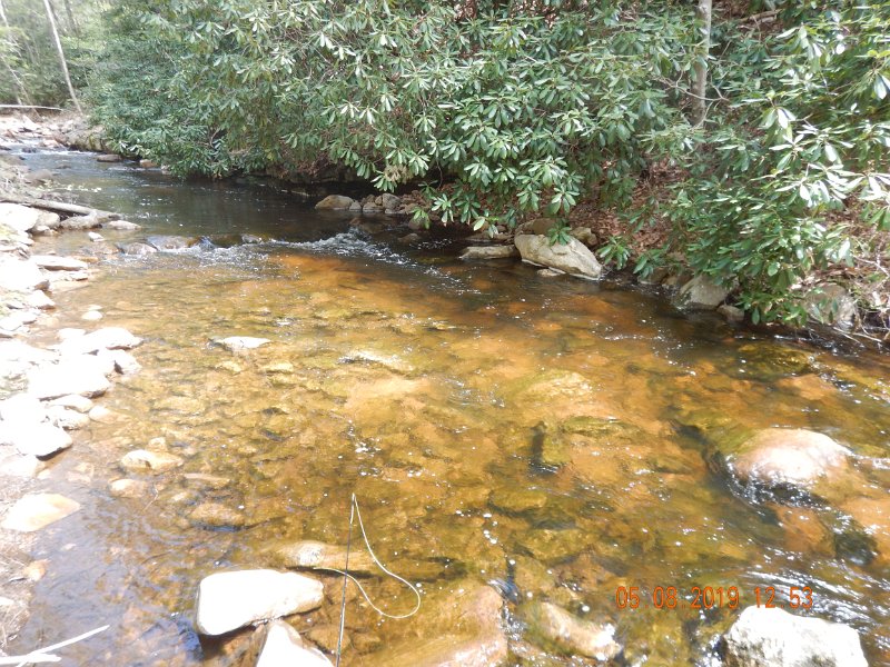 DSCN4227.JPG