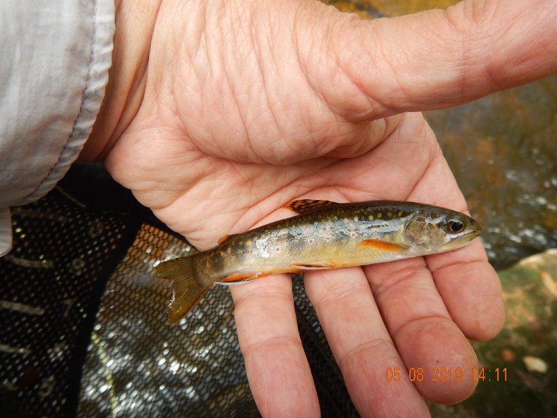 DSCN4232.JPG