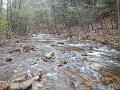 DSCN4157
