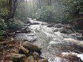 DSCN4165
