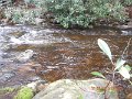 DSCN4169