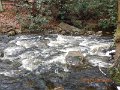 DSCN4175