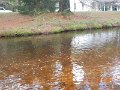 DSCN4187