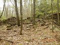 DSCN4222