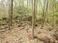 DSCN4223
