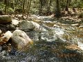 DSCN4230