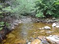 DSC00844