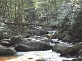DSC00859