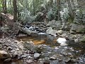 DSC00867