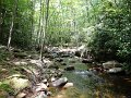 DSC00881