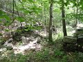 DSC00882