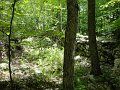 DSC00883