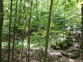 DSC00884