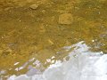 DSC00886
