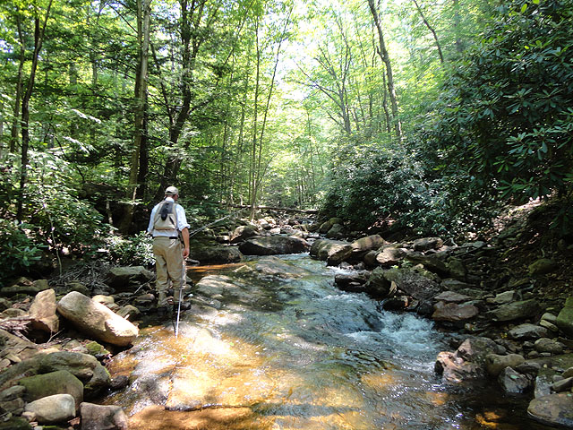 DSC00969.jpg -                                Hickory Run Senic