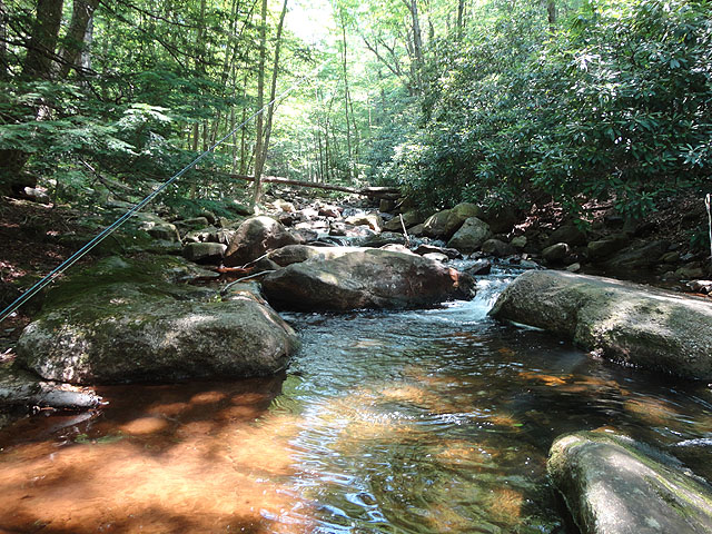 DSC00972.jpg -                                 Hickory Run Senic 2
