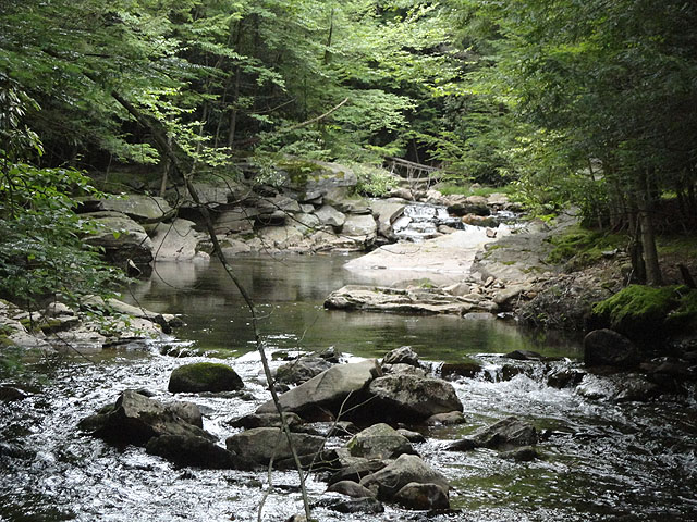 DSC00990.jpg -                                Black Creek or Hayes Run