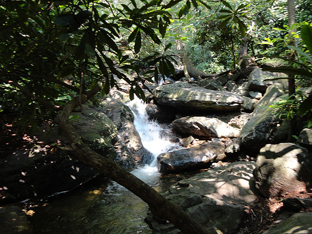 DSC00251.jpg - Glen Onoko Falls Trail