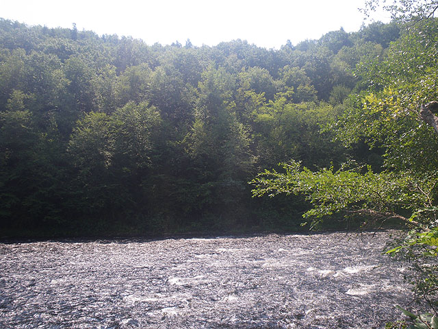 IMGP0228.jpg - Lehigh Senic 5