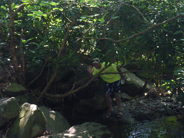 IMGP0230.jpg - Glen Onoko Falls Trail 4