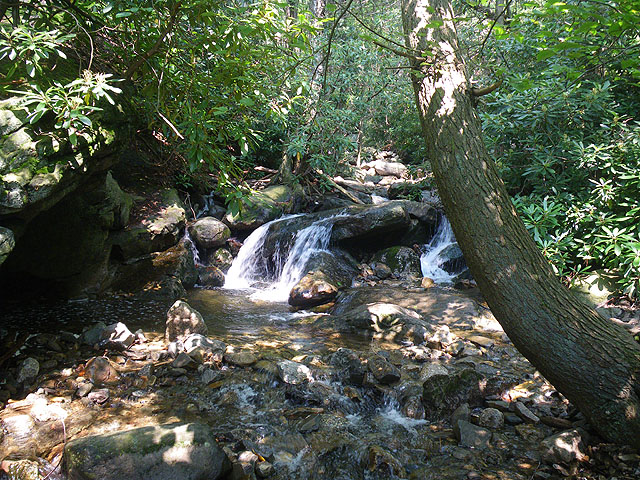 IMGP0232.jpg - Glen Onoko Falls Trail 6