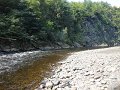 DSC00250