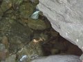 DSC00252