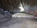 DSC00267