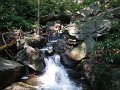 IMGP0233