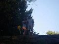 IMGP0266