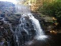 IMGP0267