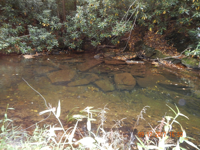 DSCN2600.jpg -                                Yeah, there should have been trout hiding here but, alas, I could't get them to come out.