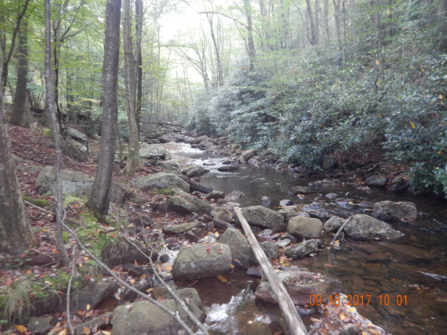 DSCN2603.jpg -                                This is the upper Hickory.  I love this pocket water.  The scenery is amazing and the fish were cooperative.