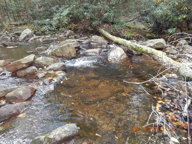 DSCN2617.jpg -                                Yup, if I were a brookie I'd live here.