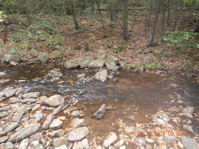 DSCN2629.jpg -                                This is the run the little guy called home.