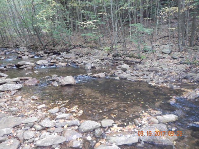 DSCN2635.jpg -                                Here's what took me so long to cover this short stretch of water.  One pool after the other and all held fish.