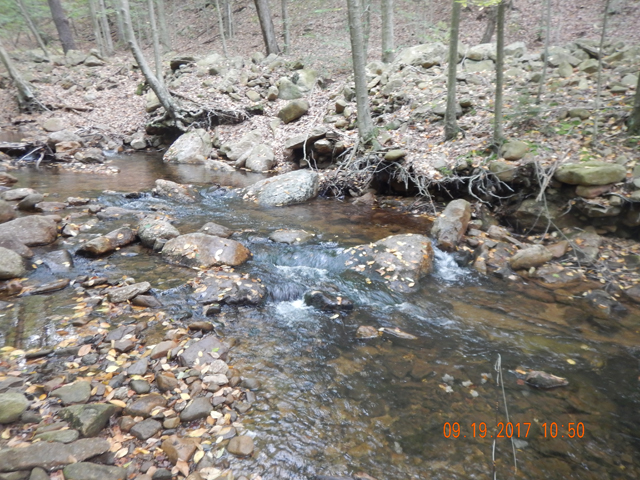 DSCN2646.jpg -                                Walking here was easy, catching was fun...I didn't know what was in store.