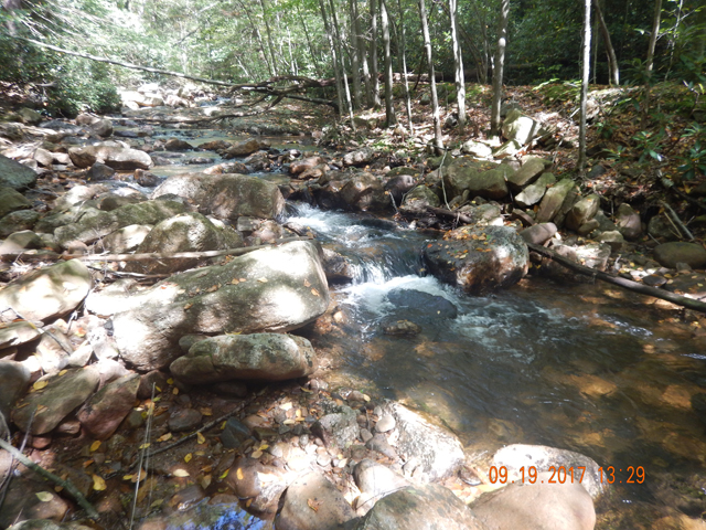 DSCN2662.jpg -                                How could I leave?  The stream ahead was better looking that the stretch I just fished...or so it seemed