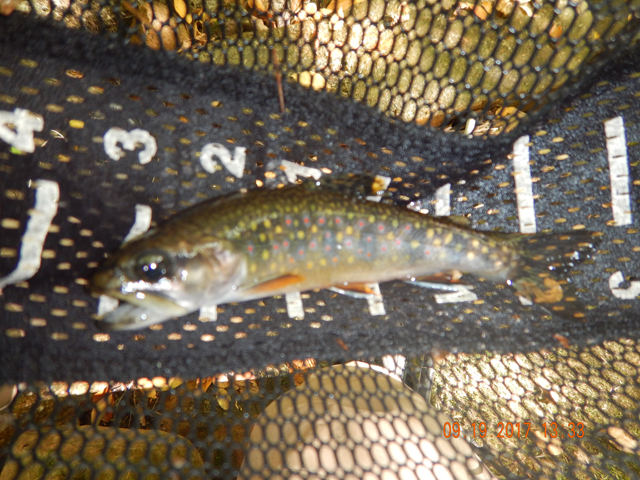 DSCN2663.jpg -                                Yes, and the fish kept biting.