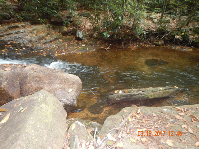 DSCN2667.jpg -                                Crawling over boulders ws common place 