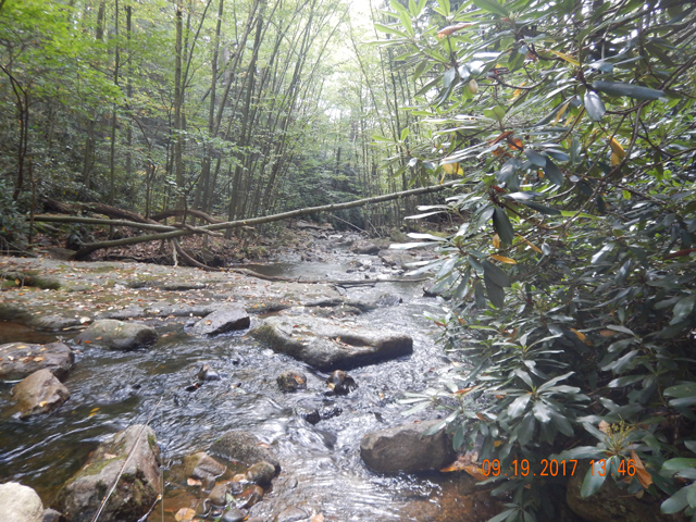 DSCN2668.jpg -                                The deeper into the mountain I went, the better the stream appeared.