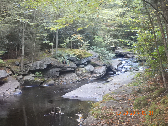 DSCN2671.jpg -                                On my second day....or was it my third...who know but this is Hayes (Black) Creek.