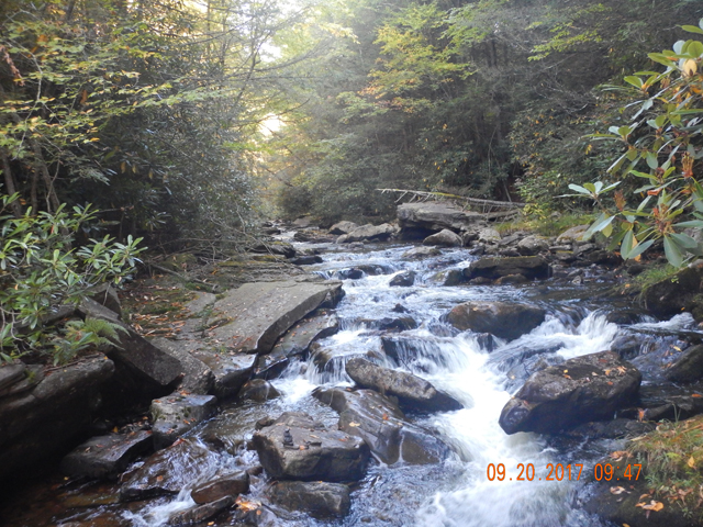 DSCN2672.jpg -                                What a pretty stream but today I would strike out here.  Shoulda caught but the fish weren't hitting.