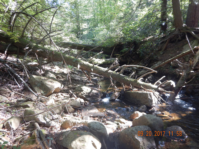 DSCN2677.jpg -                                But, the terrain was no less forgiving.
