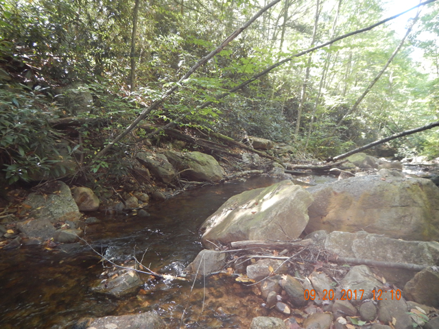 DSCN2682.jpg -                                Most every run had fish...assuming you fished it properly.  These are not dumb concrete trout. 