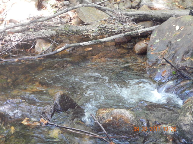 DSCN2685.jpg -                                Don't think I ever did get the fish that kept drowning my fly in this run.  Oh yes, I fished dry flies almost the entire trip