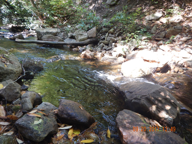 DSCN2688.jpg -                                Got that last fish from this run.  Easy to see why.