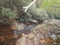 DSCN2604