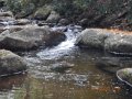 DSCN2608