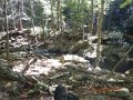 DSCN2623